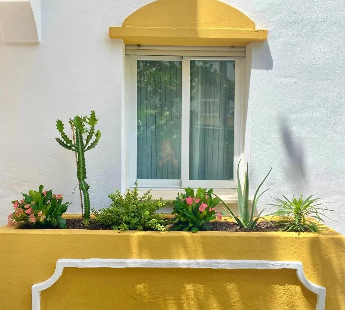 Designed Apartment In Marbella